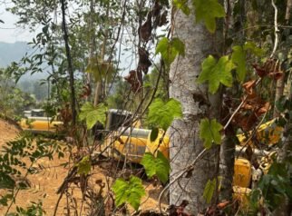 Sejumlah alat berat bersembunyi usai penggerebekan tim Polda Sulsel. Sejumlahbalat berat yang beroperasi di tambang emas ilegal yang berlokasi di DAS Suso, Bajo Barat, Kabupaten Luwu, diamankan.